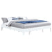 Hounslow Universal Platform Bed - All Brands Furniture (NJ)