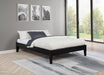 Hounslow Platform Bed Base - All Brands Furniture (NJ)