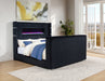 Tisdall Wingback TV Bed with Flame Visualizer - All Brands Furniture (NJ)