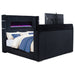 Tisdall Wingback TV Bed with Flame Visualizer - All Brands Furniture (NJ)