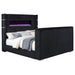 Tisdall Wingback TV Bed with Flame Visualizer - All Brands Furniture (NJ)