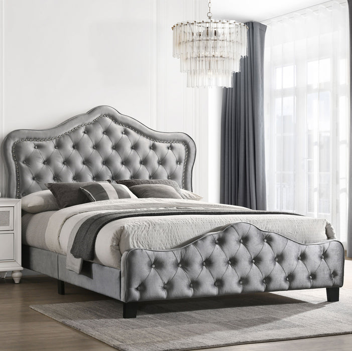 Bella Beds - All Brands Furniture (NJ)