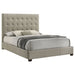 Medley Panel Platform Bed - All Brands Furniture (NJ)