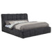 Nollet Panel Platform Bed - All Brands Furniture (NJ)