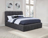 Nollet Panel Platform Bed - All Brands Furniture (NJ)