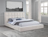 Dreux Panel Platform Bed - All Brands Furniture (NJ)