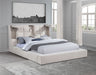 Dreux Panel Platform Bed - All Brands Furniture (NJ)