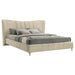 Evelyn Panel Platform Bed - All Brands Furniture (NJ)