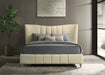 Evelyn Panel Platform Bed - All Brands Furniture (NJ)