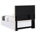 Pirro Twin Headboard - All Brands Furniture (NJ)