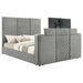 Tara Panel TV Bed - All Brands Furniture (NJ)