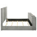 Tara Panel TV Bed - All Brands Furniture (NJ)
