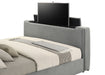 Tara Panel TV Bed - All Brands Furniture (NJ)