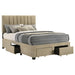Wheatland Panel Platform Storage Bed - All Brands Furniture (NJ)
