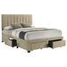 Wheatland Panel Platform Storage Bed - All Brands Furniture (NJ)