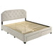 Marianna Panel Platform Storage Bed - All Brands Furniture (NJ)