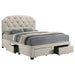 Marianna Panel Platform Storage Bed - All Brands Furniture (NJ)