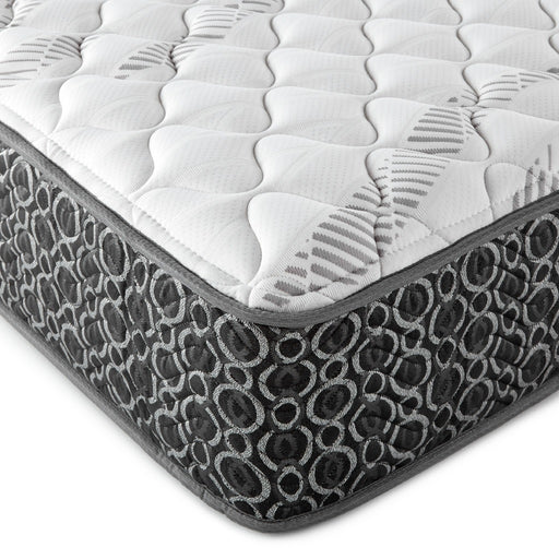 Hayes Firm Tight Top Hybrid Mattress - All Brands Furniture (NJ)