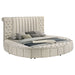 Sonya Eastern King & Queen Bed - All Brands Furniture (NJ)