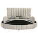 Sonya Eastern King & Queen Bed - All Brands Furniture (NJ)