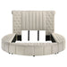 Sonya Eastern King & Queen Bed - All Brands Furniture (NJ)