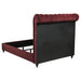 Devon Bedroom Set Wine Red and Dark Oak - All Brands Furniture (NJ)