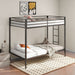Alevera Bunk Bed - All Brands Furniture (NJ)