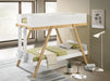 Frankie Bunk Beds - All Brands Furniture (NJ)