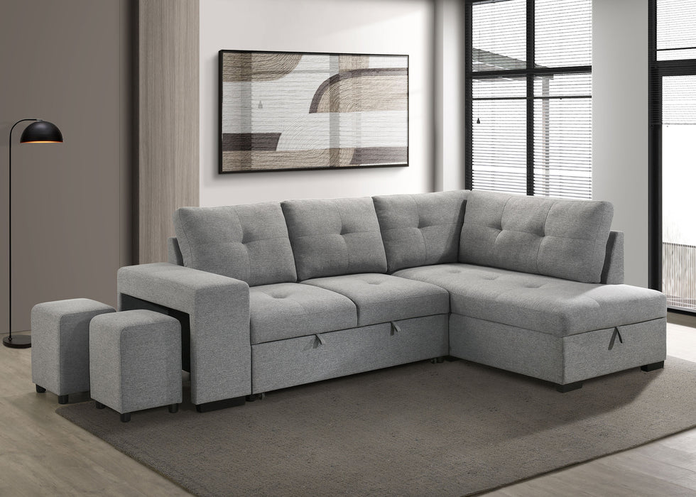 Roanne Pull-Out Sleeper Sectional Sofa - All Brands Furniture (NJ)