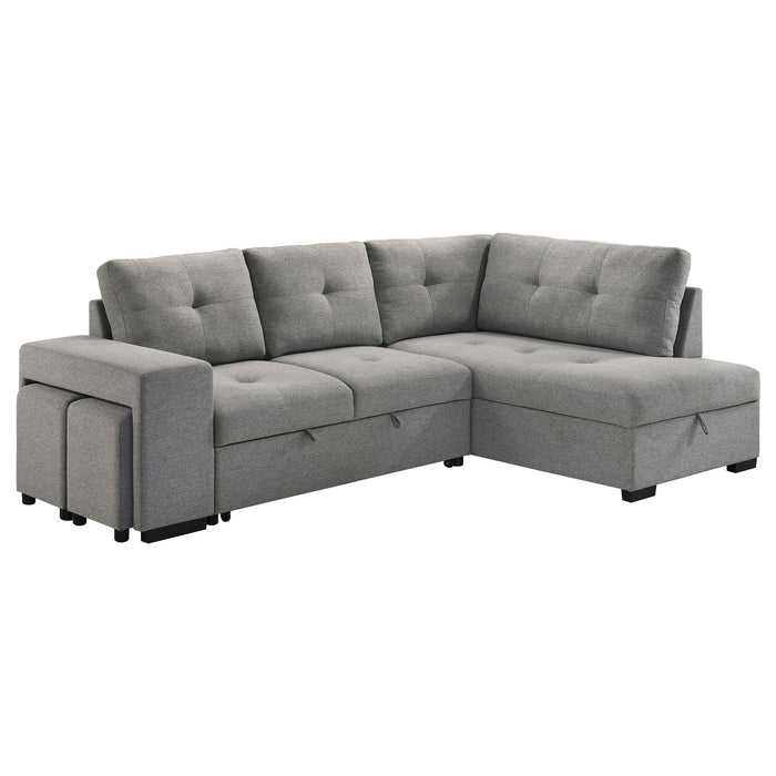 Roanne Pull-Out Sleeper Sectional Sofa - All Brands Furniture (NJ)