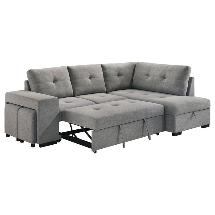 Roanne Pull-Out Sleeper Sectional Sofa - All Brands Furniture (NJ)