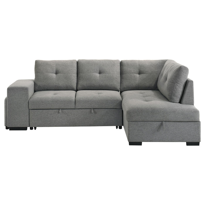 Roanne Pull-Out Sleeper Sectional Sofa - All Brands Furniture (NJ)