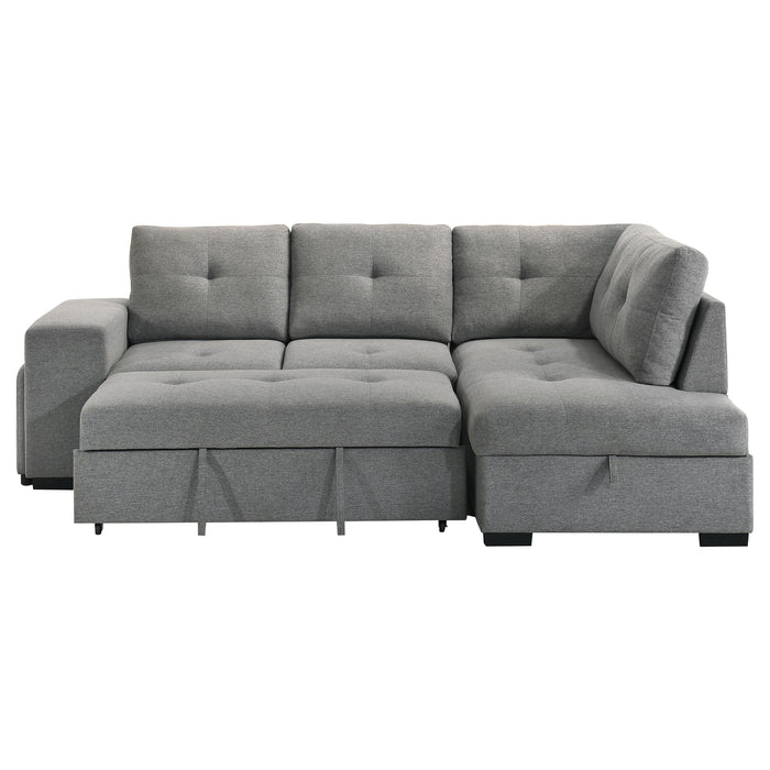 Roanne Pull-Out Sleeper Sectional Sofa - All Brands Furniture (NJ)