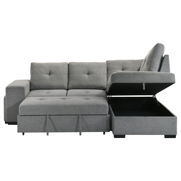 Roanne Pull-Out Sleeper Sectional Sofa - All Brands Furniture (NJ)