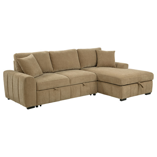 Pastrana Pull-Out Sleeper Sectional Sofa - All Brands Furniture (NJ)