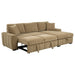 Pastrana Pull-Out Sleeper Sectional Sofa - All Brands Furniture (NJ)