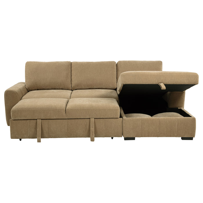 Pastrana Pull-Out Sleeper Sectional Sofa - All Brands Furniture (NJ)