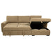 Pastrana Pull-Out Sleeper Sectional Sofa - All Brands Furniture (NJ)