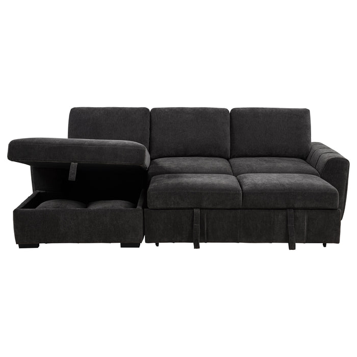 Pastrana Pull-Out Sleeper Sectional Sofa - All Brands Furniture (NJ)