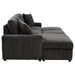 Pastrana Pull-Out Sleeper Sectional Sofa - All Brands Furniture (NJ)