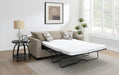 Storey Upholstered Sleeper Sectional Chaise Sofa - All Brands Furniture (NJ)