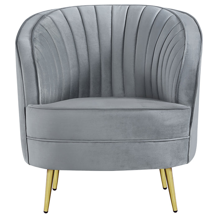 Sophia Accent Chair - All Brands Furniture (NJ)