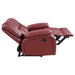 Camila Reclining Sets - All Brands Furniture (NJ)