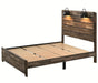 Crown Mark Furniture Carter King Platform Bed in Brown - All Brands Furniture (NJ)