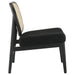 Rayo Accent Chairs - All Brands Furniture (NJ)