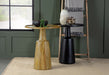 Ixia Side Table - All Brands Furniture (NJ)