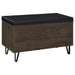 Brixton Storage Benches - All Brands Furniture (NJ)