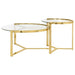 Delia Nesting Coffee Table - All Brands Furniture (NJ)