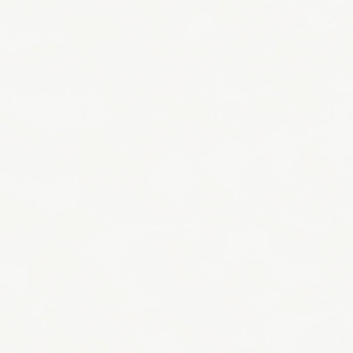 Windrose Standing Mirror - All Brands Furniture (NJ)