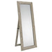 Cadence Standing Mirrors - All Brands Furniture (NJ)
